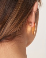 spiral shell stud earrings in gold